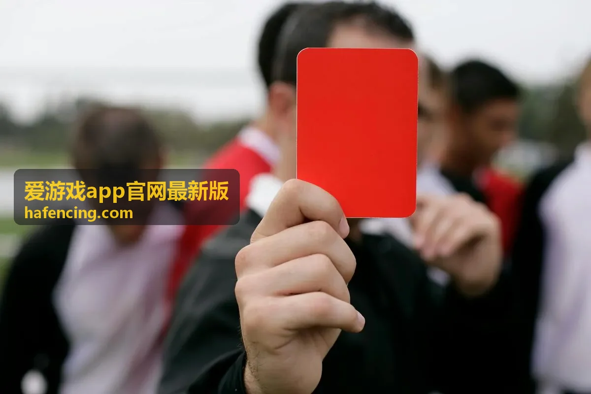 爱游戏app官网最新版安装与启动说明封面图